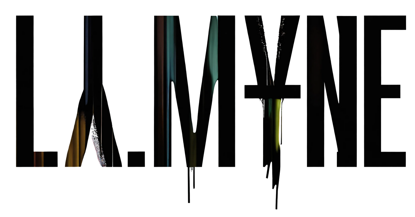 Camiseta extragrande pintada